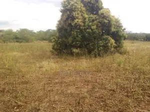 Shamba Linauzwa Mbwewe