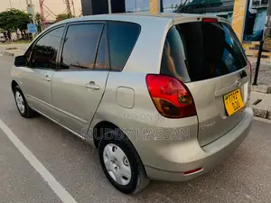 Toyota Corolla Spacio 2004 Silver
