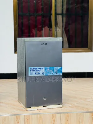 Fridge Bos Lita 95