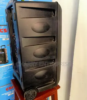 CSN Rechargeable Dj Battery Speaker System With Mic 8000W