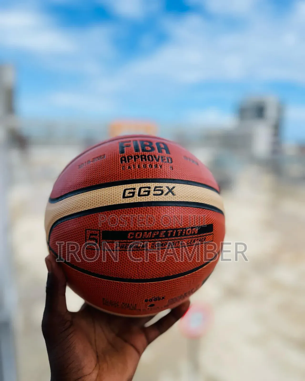 Pro Basketball.