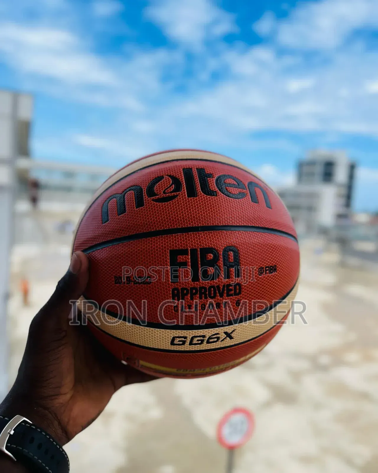 Pro Basketball.