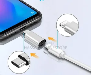 Lightning to Type-C Adapter