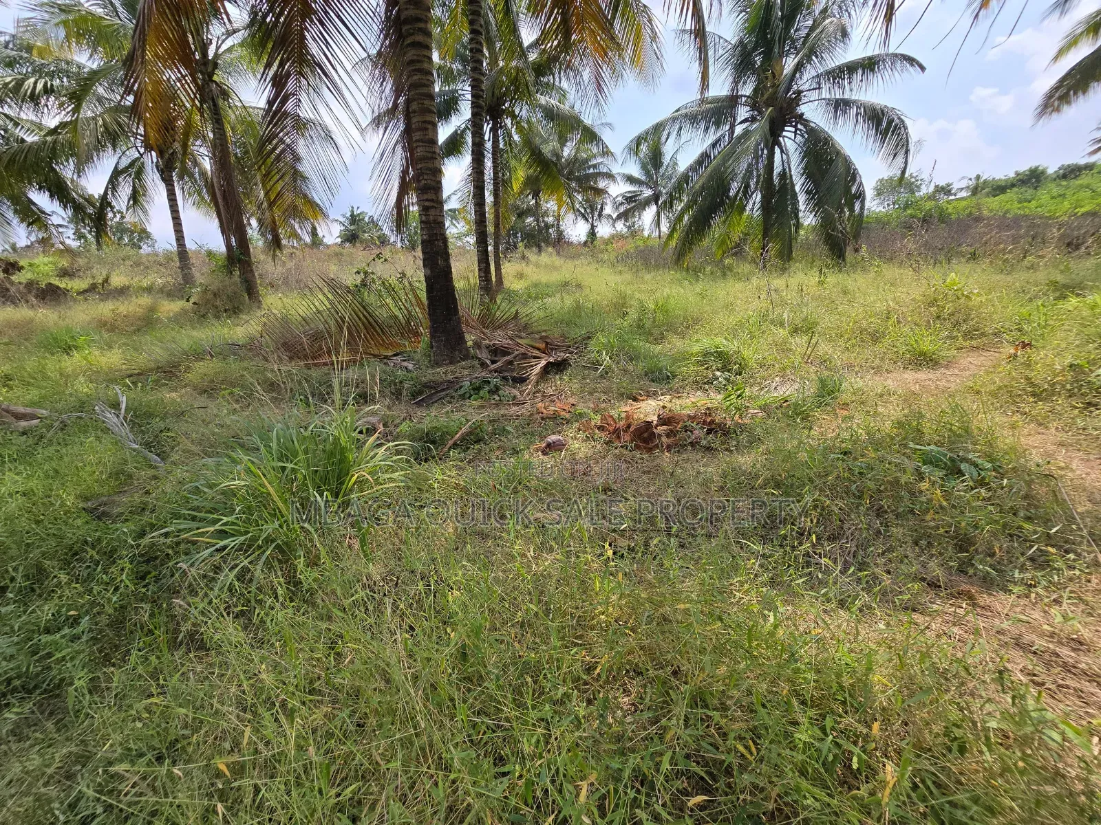 Plot for Sale at Madale