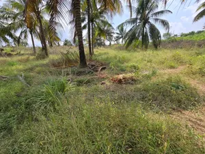 Plot for Sale at Madale