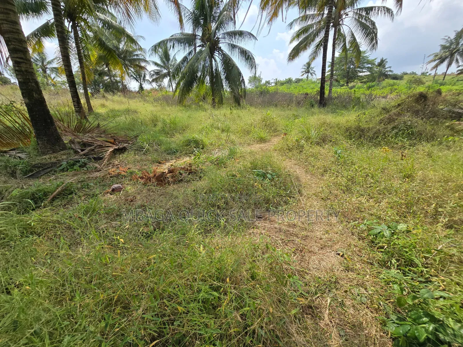 Plot for Sale at Madale