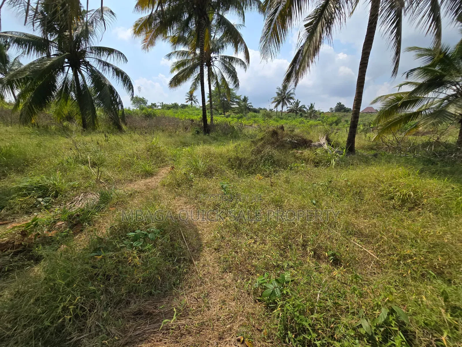 Plot for Sale at Madale