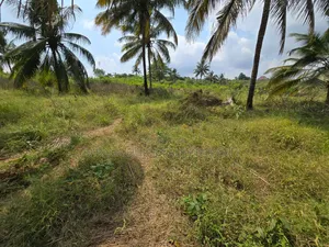 Plot for Sale at Madale