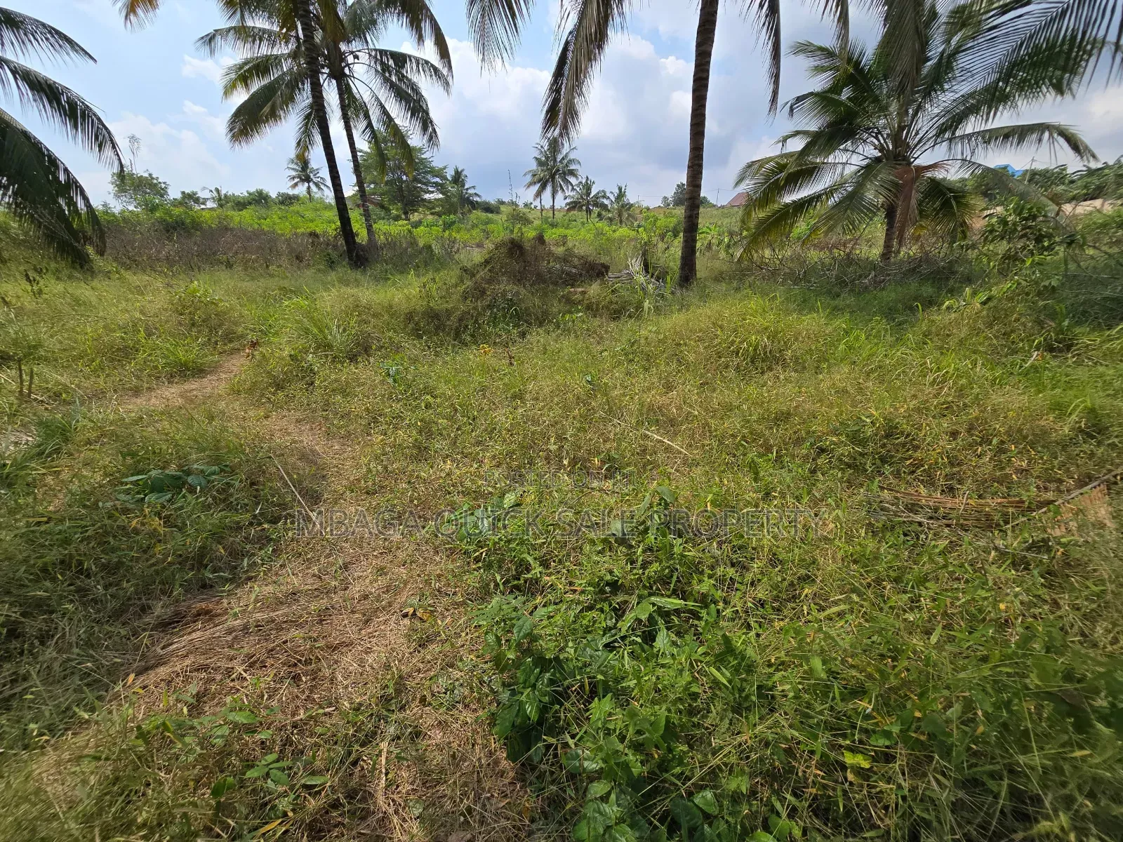 Plot for Sale at Madale