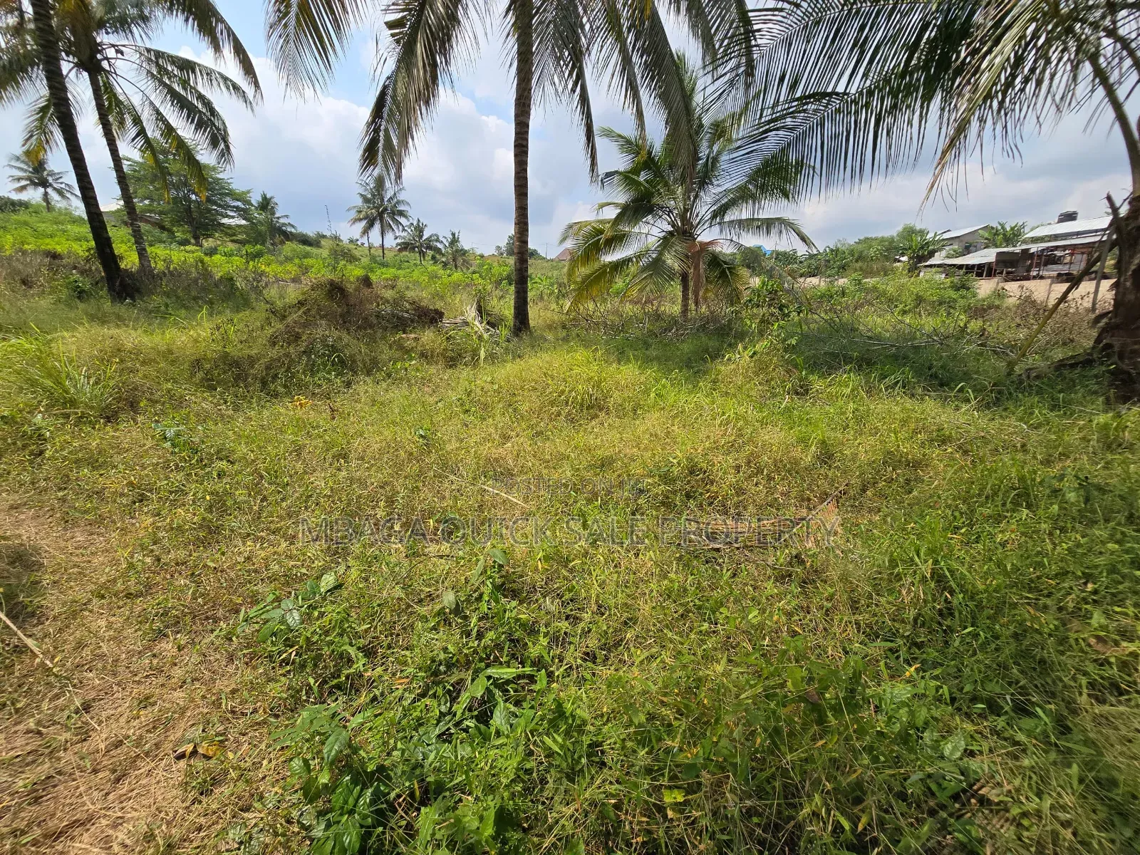 Plot for Sale at Madale