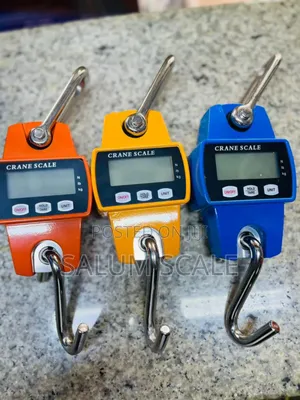 Digital Crane Scale 300kg