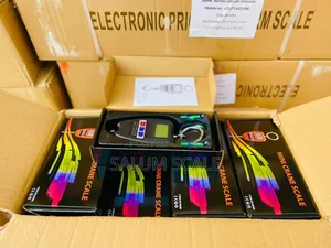 Digital Crane Scale 200kg 300kg