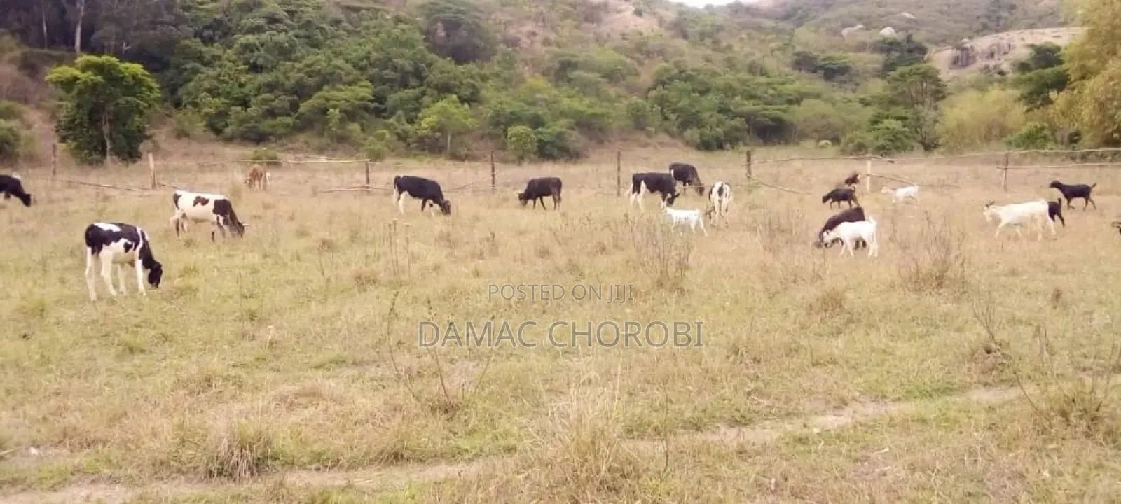 Shamba Linauzwa Acre 1350 Iringa Vijiji
