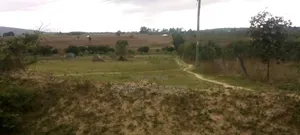 Shamba Linauzwa Iringa Kihanga
