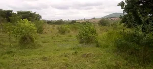 Shamba Linauzwa Iringa Kihanga