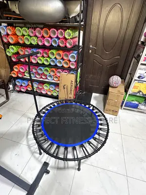 Mini Trampoline