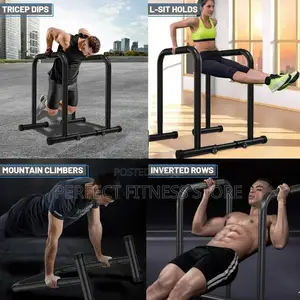 DIP BAR (Heavy Duty)