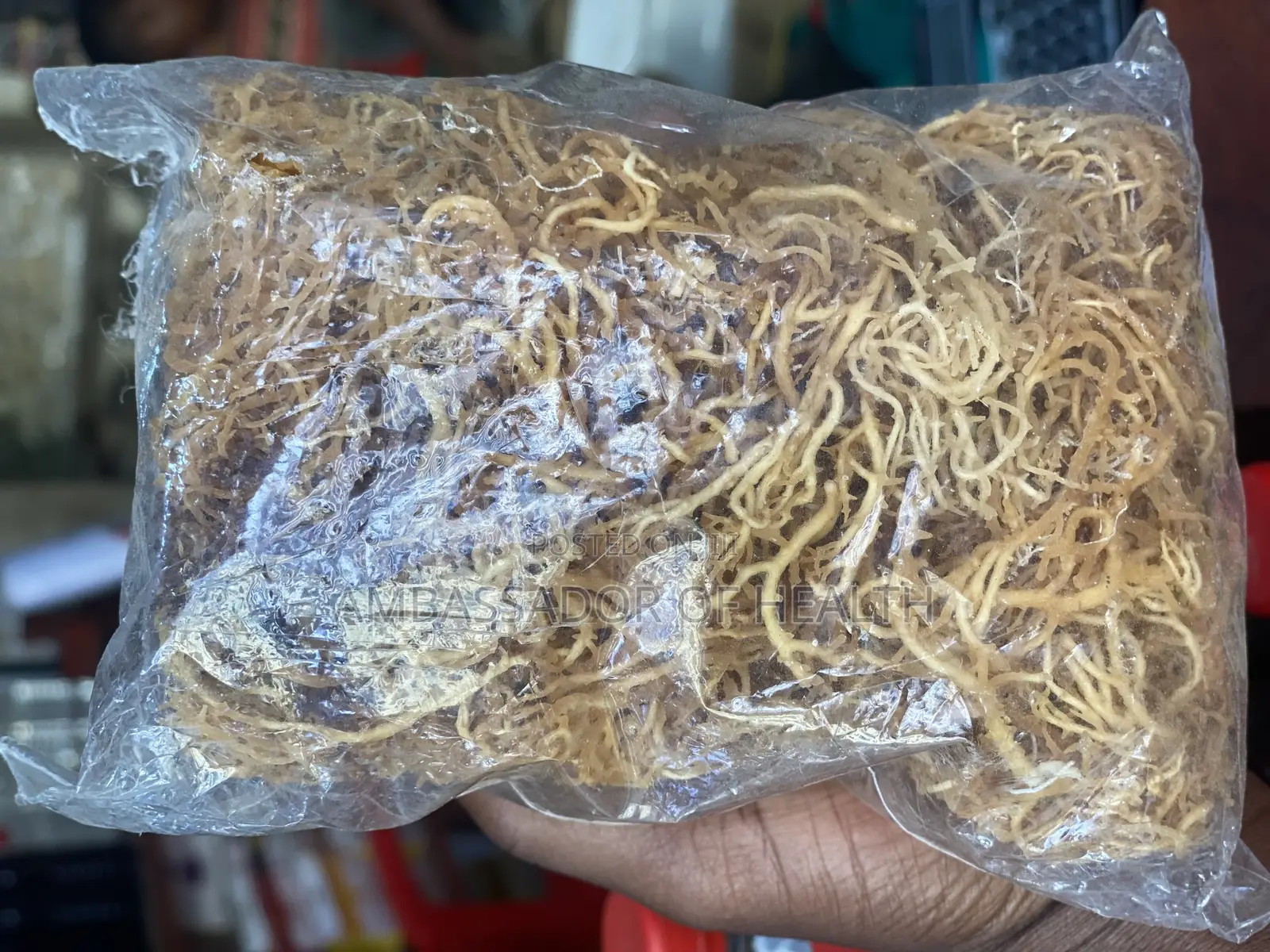 Mwani Original Kutoka Zanzibar Unatibu Magonjwa Yote Sugu