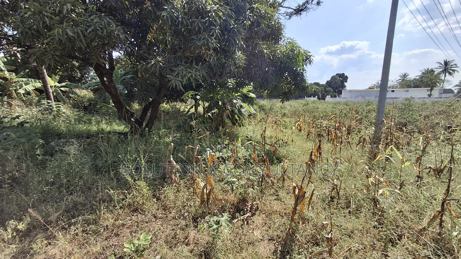 Eneo Linauzwa Mapinga Kwa Kibosha