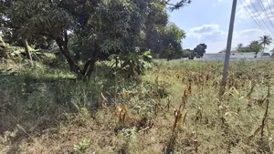 Eneo Linauzwa Mapinga Kwa Kibosha
