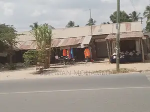 Eneo Linauzwa Chanika Tariani