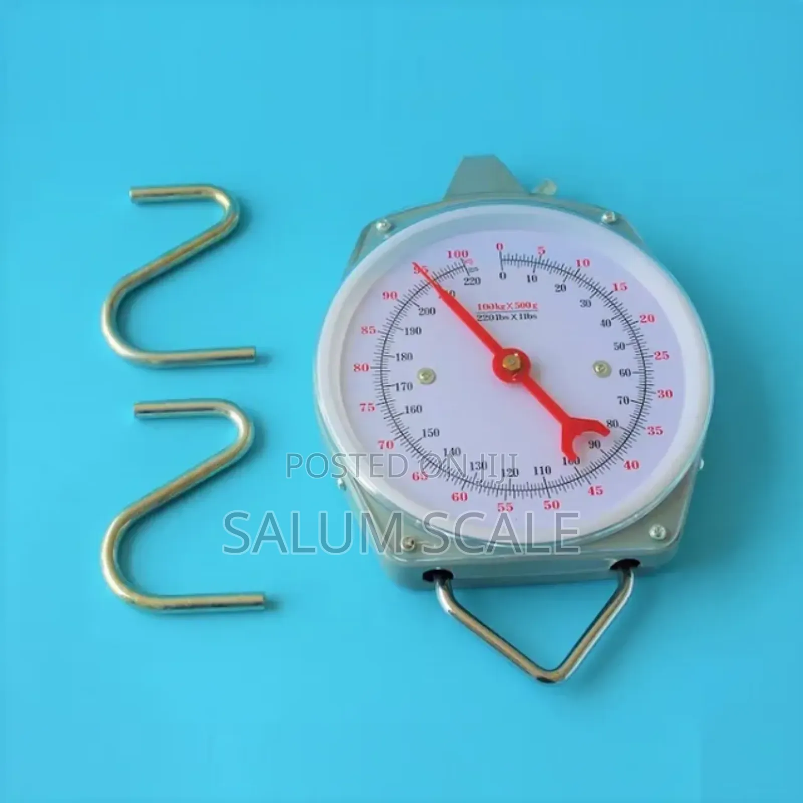 Hanging Scale