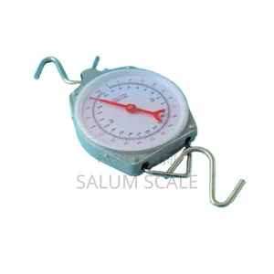 Hanging Scale