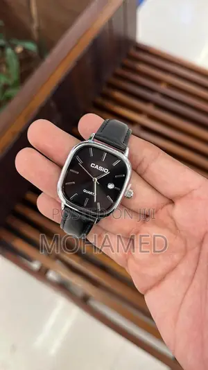 Casio Fashion Watch