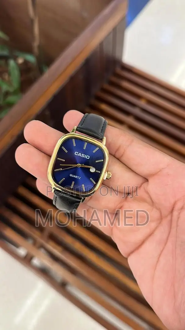 Casio Fashion Watch