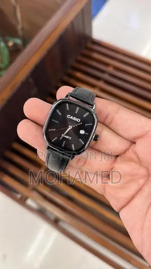 Casio Fashion Watch