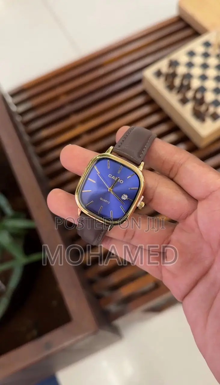 Casio Fashion Watch