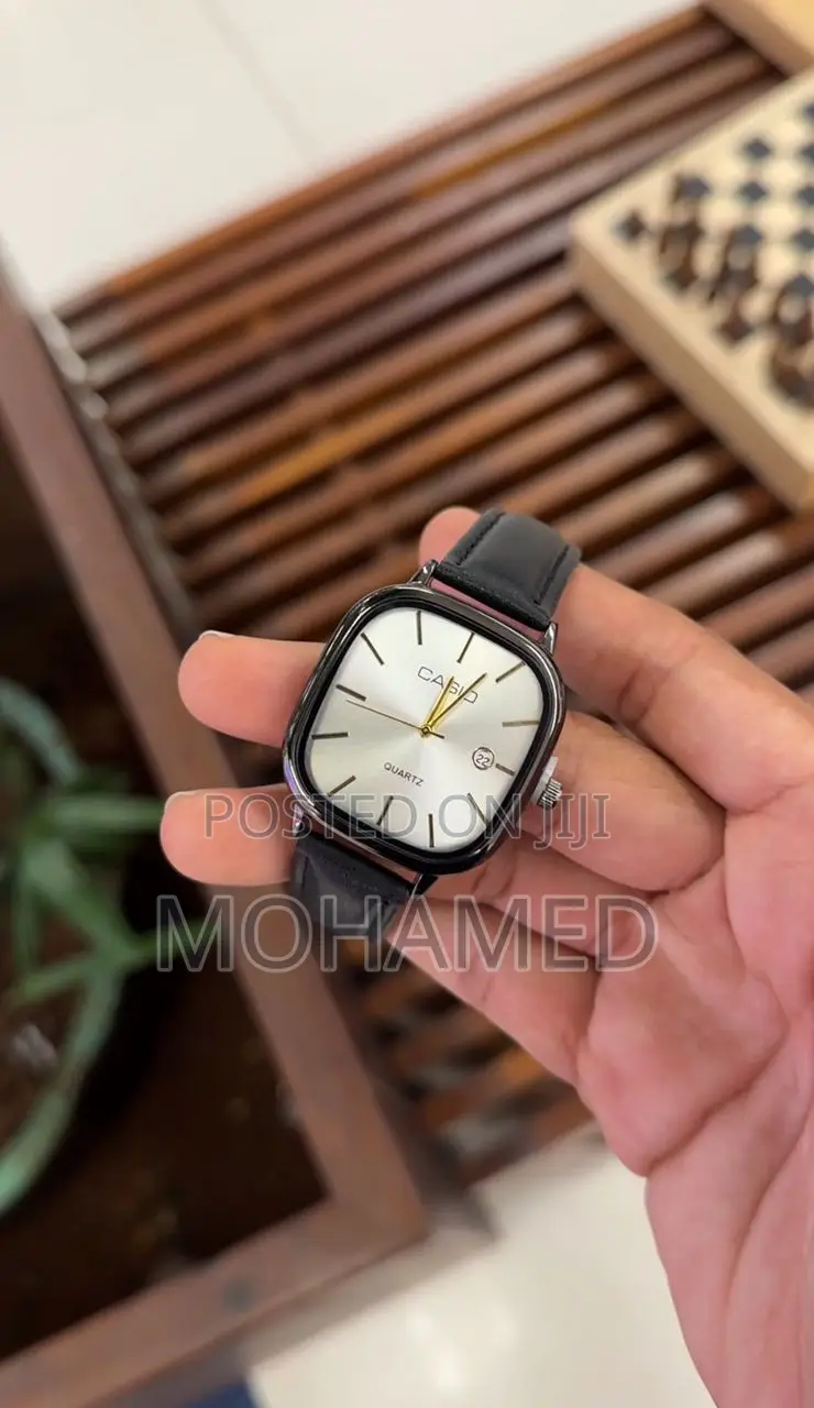Casio Fashion Watch