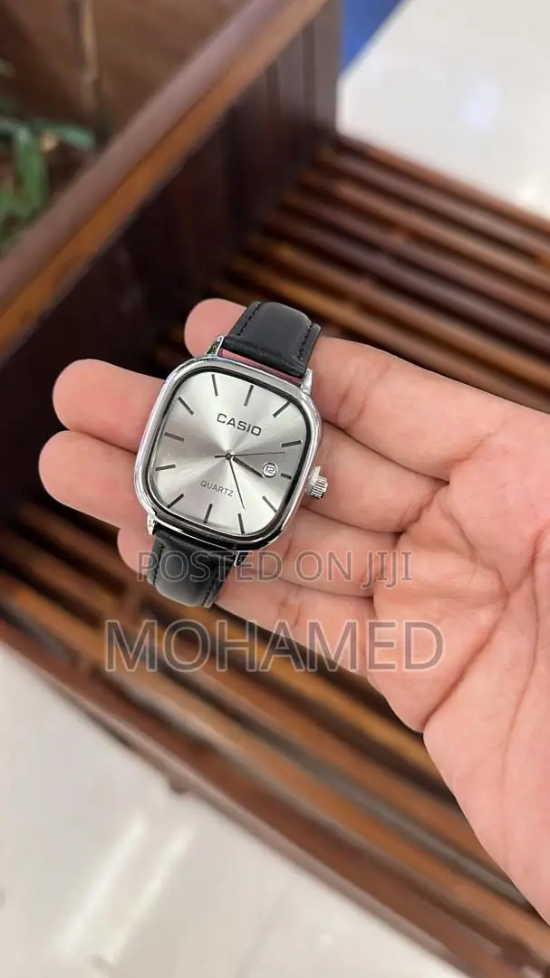 Casio Fashion Watch
