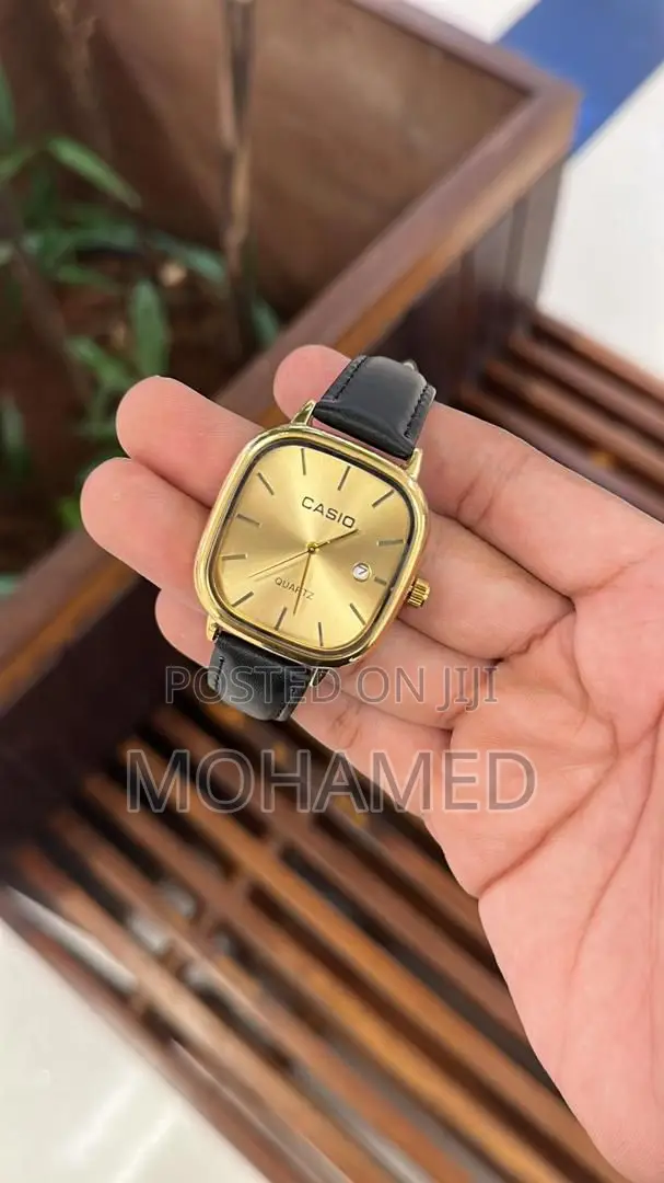 Casio Fashion Watch