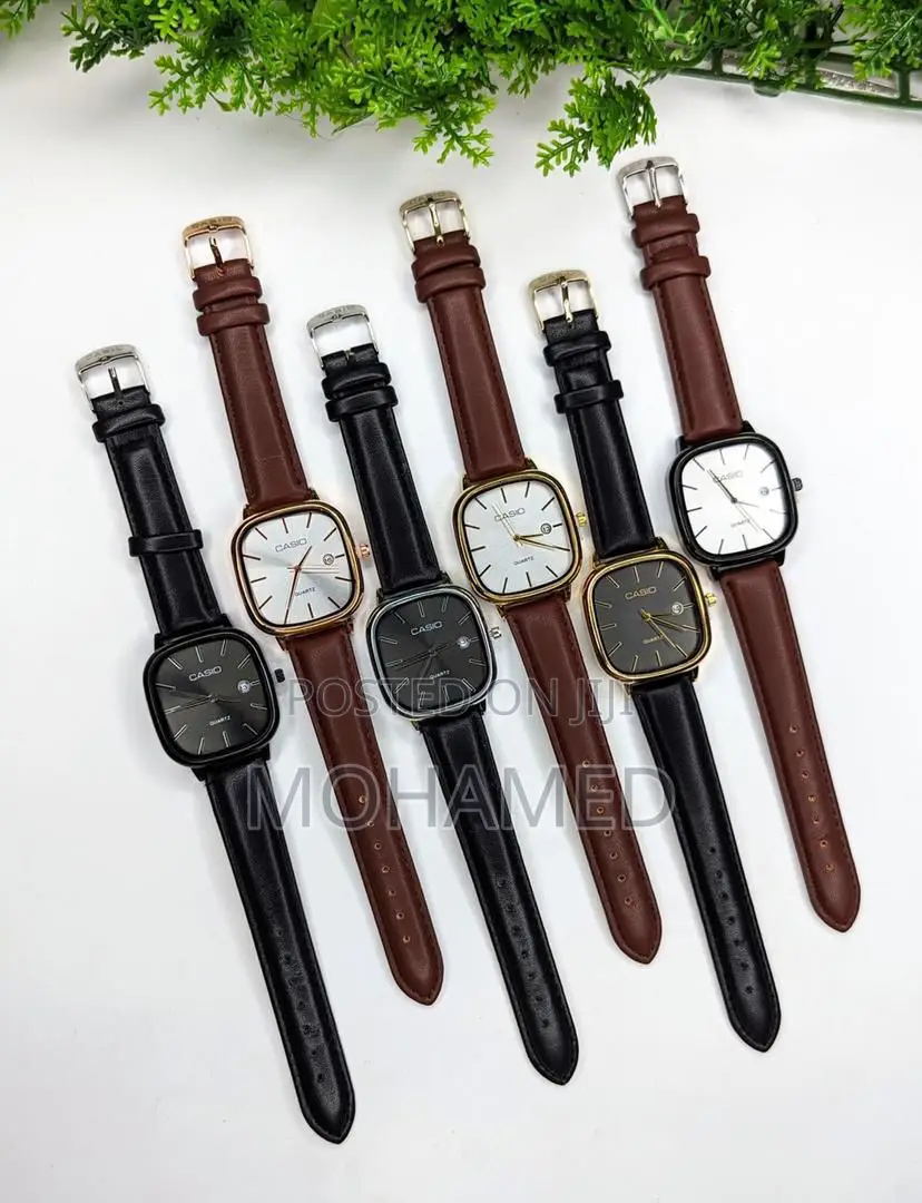 Casio Fashion Watch