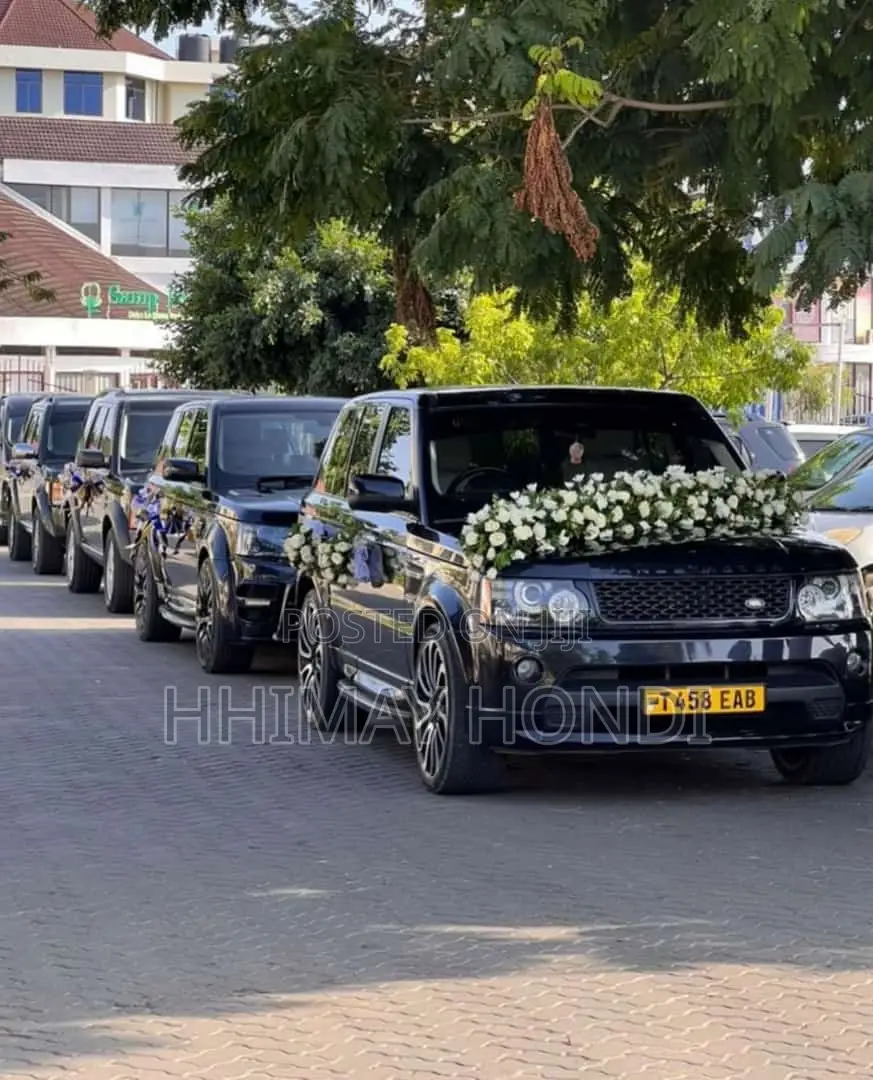 Car Rentals