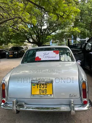 Car Rentals