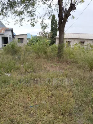Kiwanja Sqmita 150 Kinauzwa Milioni 4 Majohe Chuo Rada.