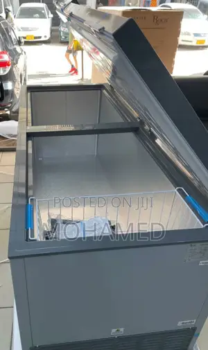 Roch Freezer/Friza 708L