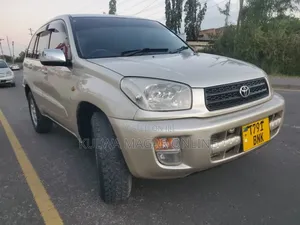 Toyota RAV4 2005 Silver