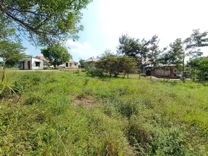 Plot at Mbez Mpigi Majoe Pazuri Sana