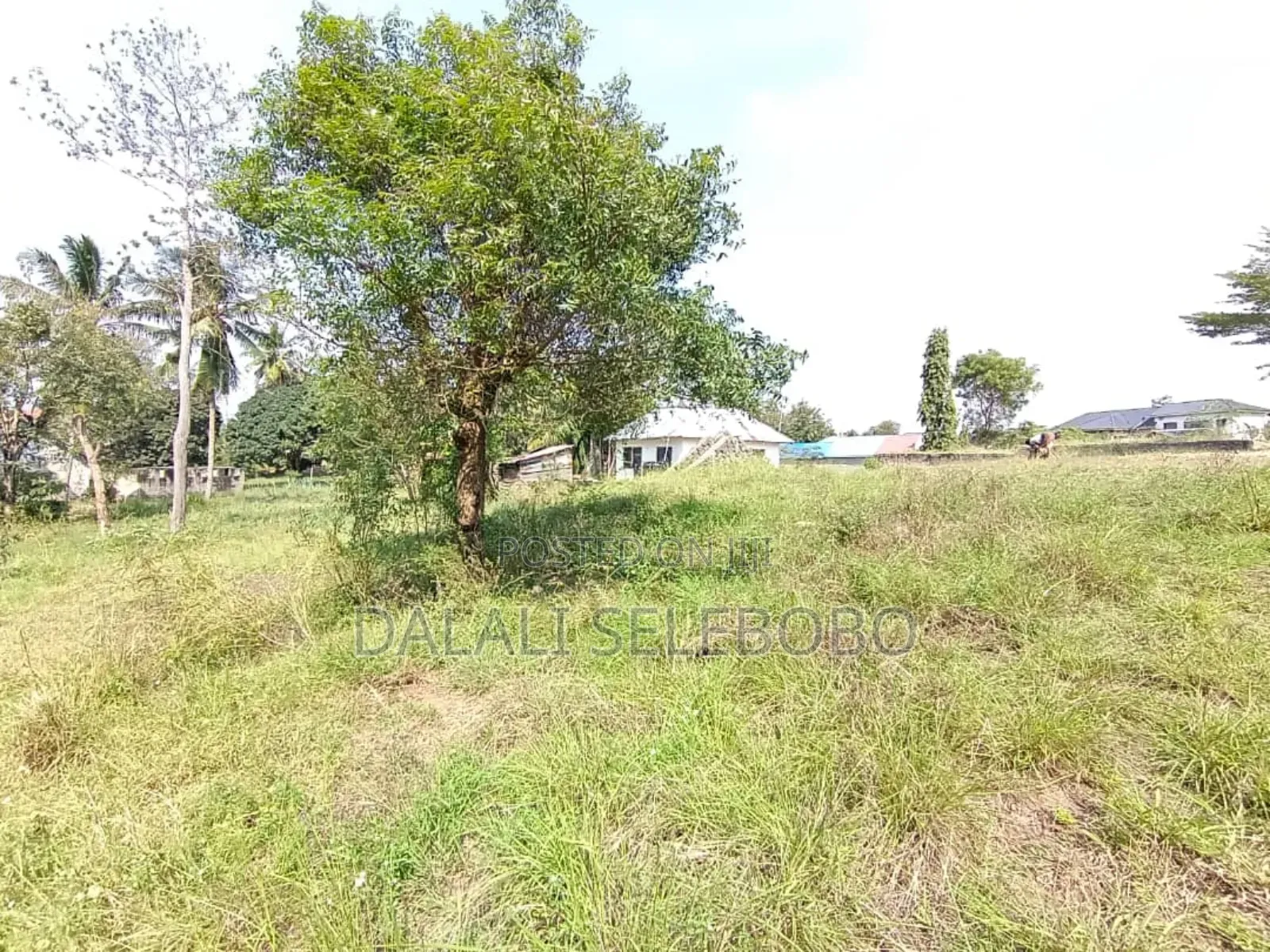 Plot at Mbez Mpigi Majoe Pazuri Sana