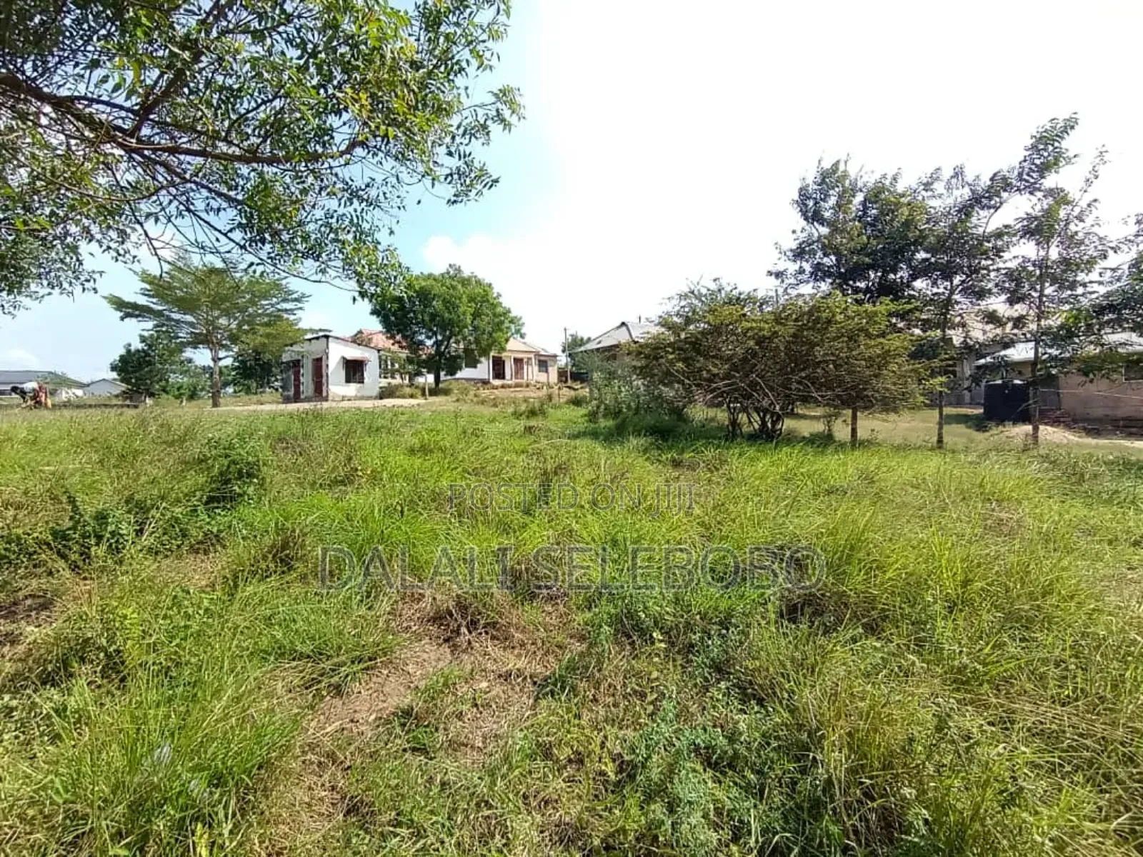 Plot at Mbez Mpigi Majoe Pazuri Sana