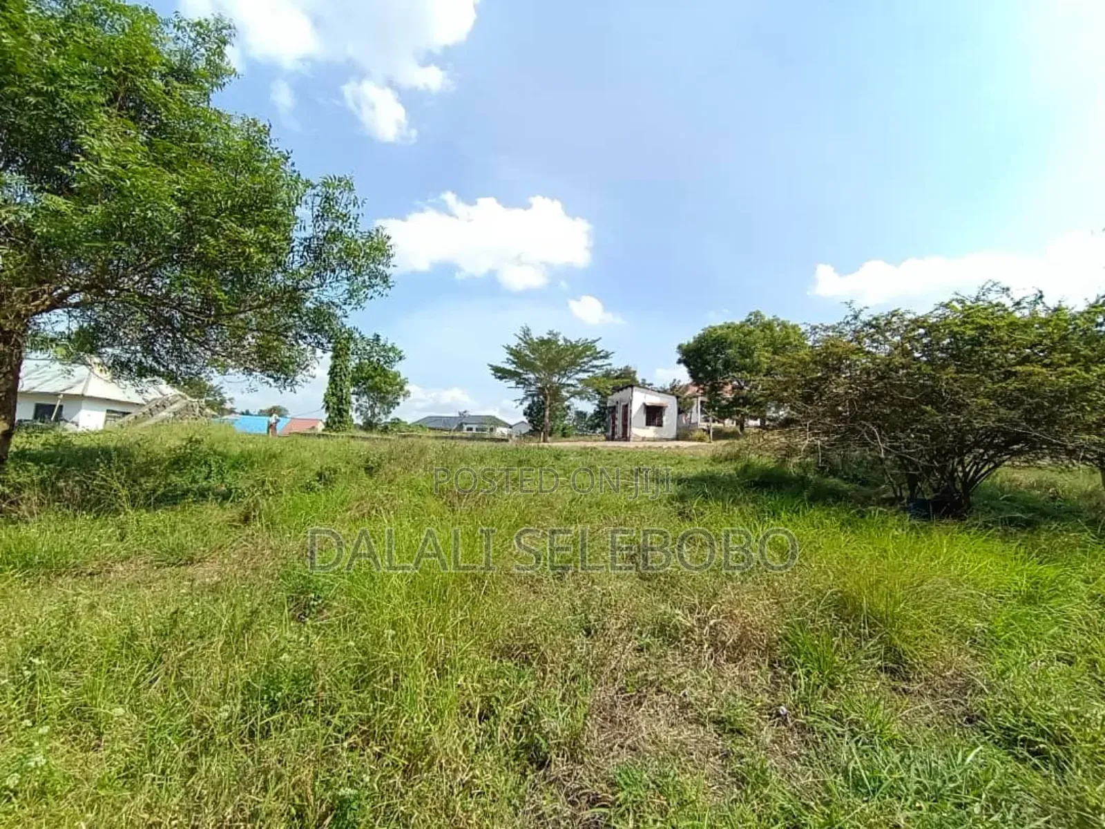 Plot at Mbez Mpigi Majoe Pazuri Sana