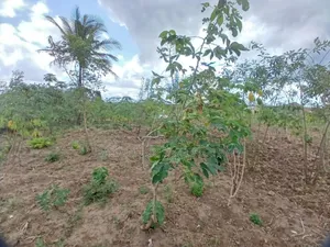 Plot for Sale at Kibaha Mkoani