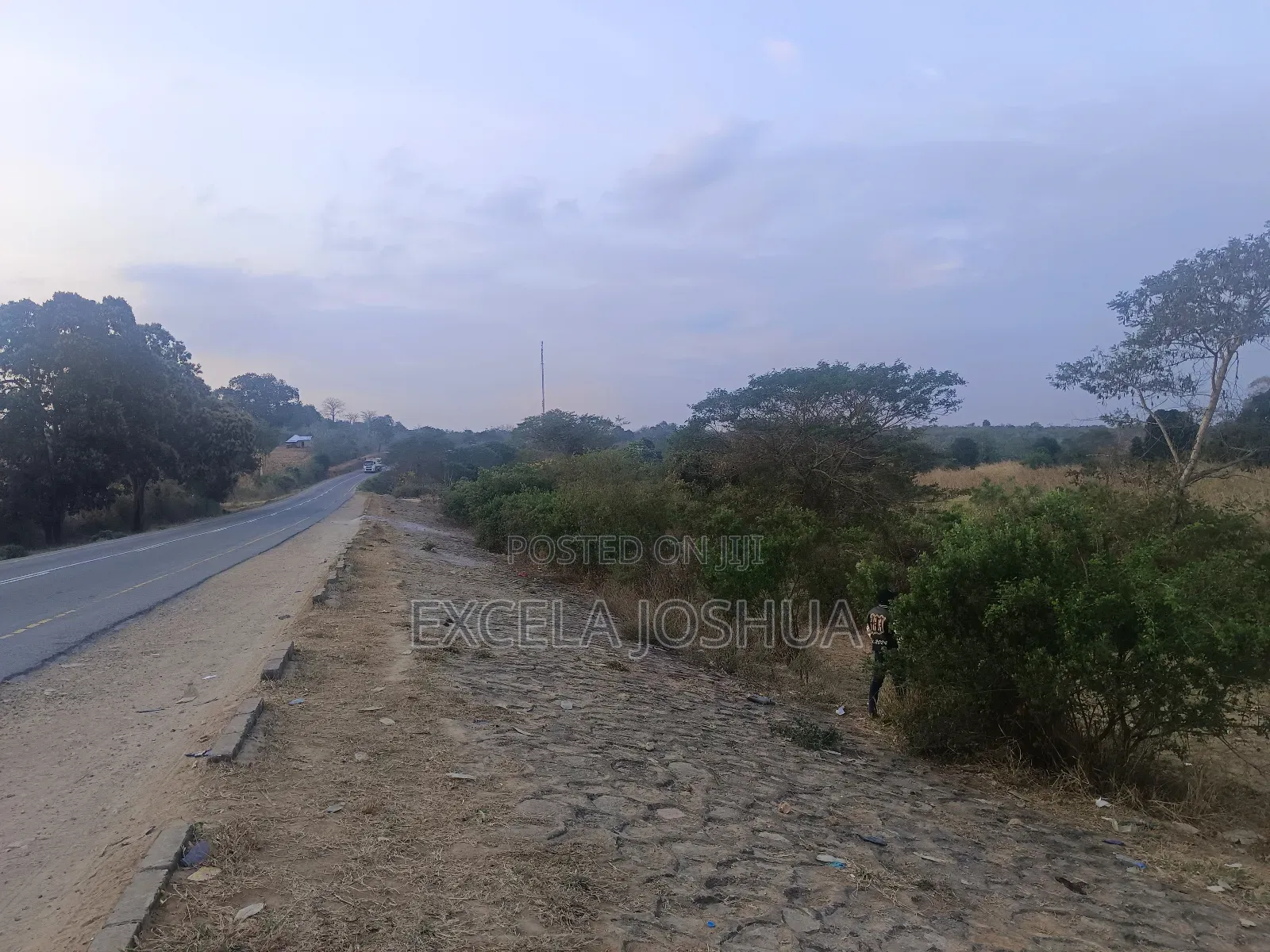 Shamba Limekamata Main Road Linauzwa Mbwewe, Wilaya Chalinze
