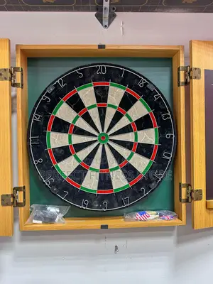 Professional Dartboard