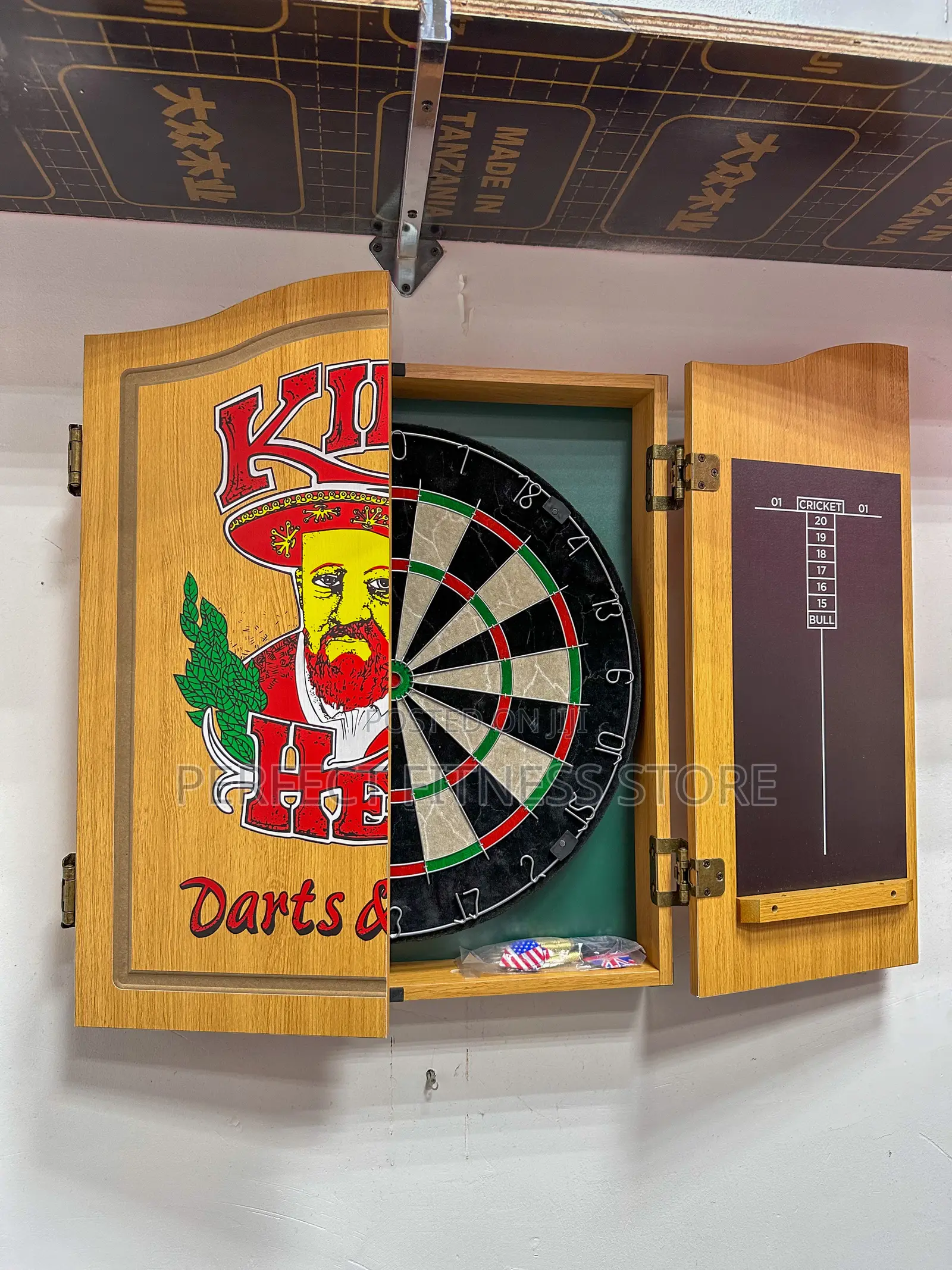 Professional Dartboard