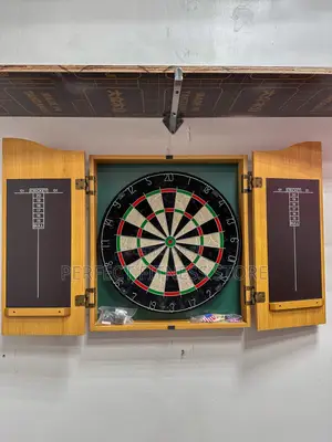 Professional Dartboard