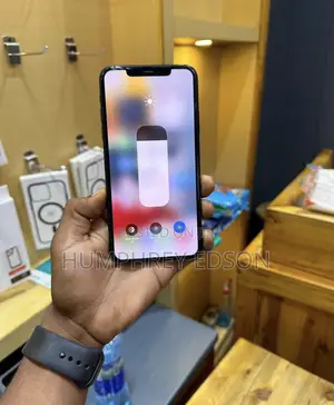 Apple iPhone 11 Pro Max 256 GB Gray